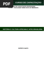 História e Cultura Africana e Afro Brasileira