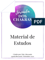 Jornada Dos Chakras