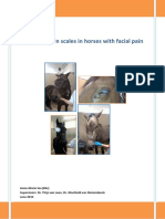 Objective pain scales in horses with facial pain - Anne-Marie Sas