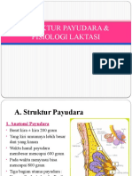 Presentasi Anatomi Payudara Tingkat 1 D4