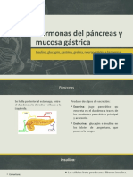 Hormonas pancreáticas y gástricas: insulina, glucagón, gastrina, grelina, neuropéptidos e histamina
