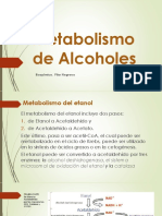 Metabolismo de Alcoholes