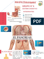 Sistema Digestivo - Grupo #6