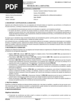 Programa Analitico Prq 207 - 202102