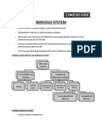 Nervous System 4 PDF Free