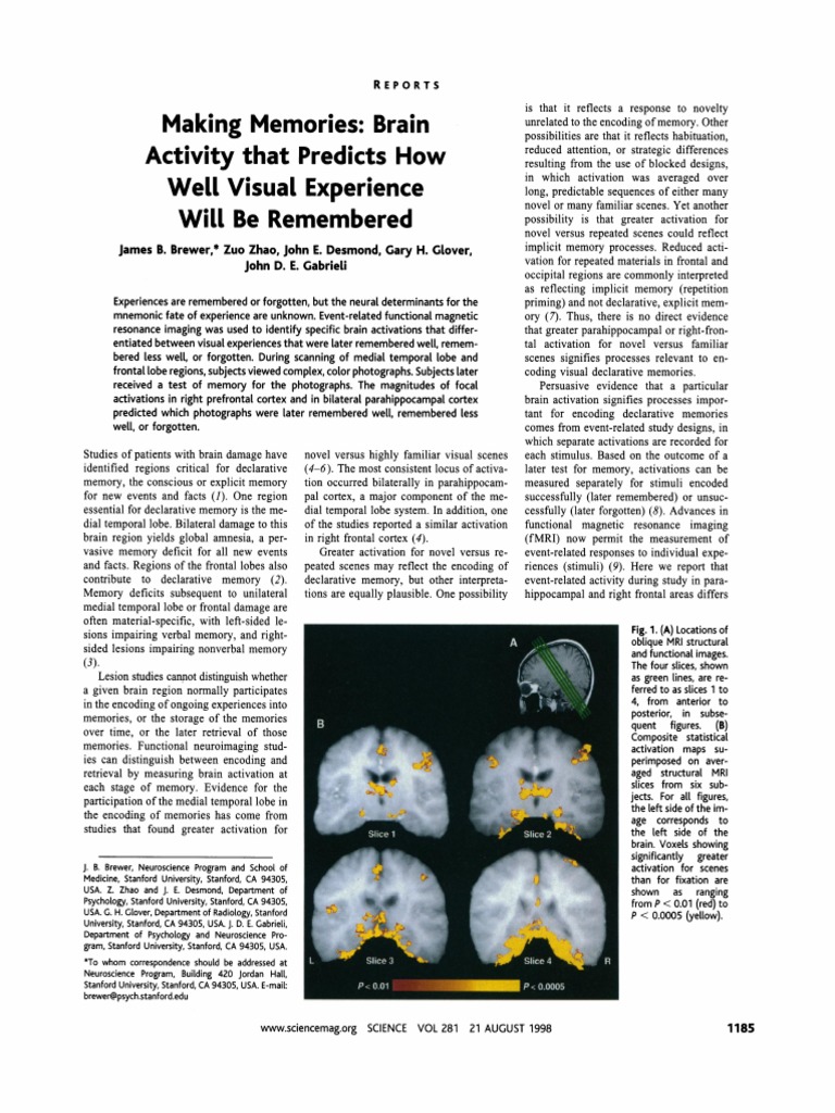 Brain Activity: Making How | PDF | Memory | Temporal Lobe