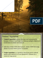 Natural Vegetation and Wildlife