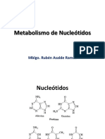 Metabolismo de Nucleótidos