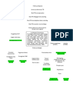 Pathway Limfadenitis TB