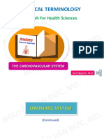Anatomy - Cardiovascular System - Part IV