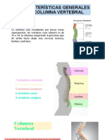 Características Generales de La Columna Vertebral