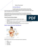 Sistem Pencernaan Manusia