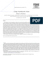 Weinbauer M.G. Ecology of Prokaryotic Viruses. 2004. FEMS Microbiology Reviews 28 127-181