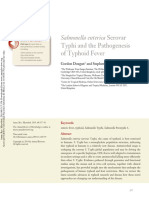 Salmonella Enterica Serovar Typhi and The Pathogenesis of Typhoid Fever