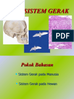 Sistem Gerak