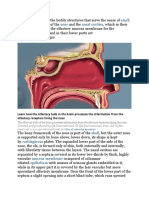 Demarcated Deficiency