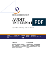 Audit Internal IT Risks