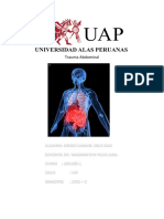 Mono de Trauma Abdominal Sergio Cruz Diaz