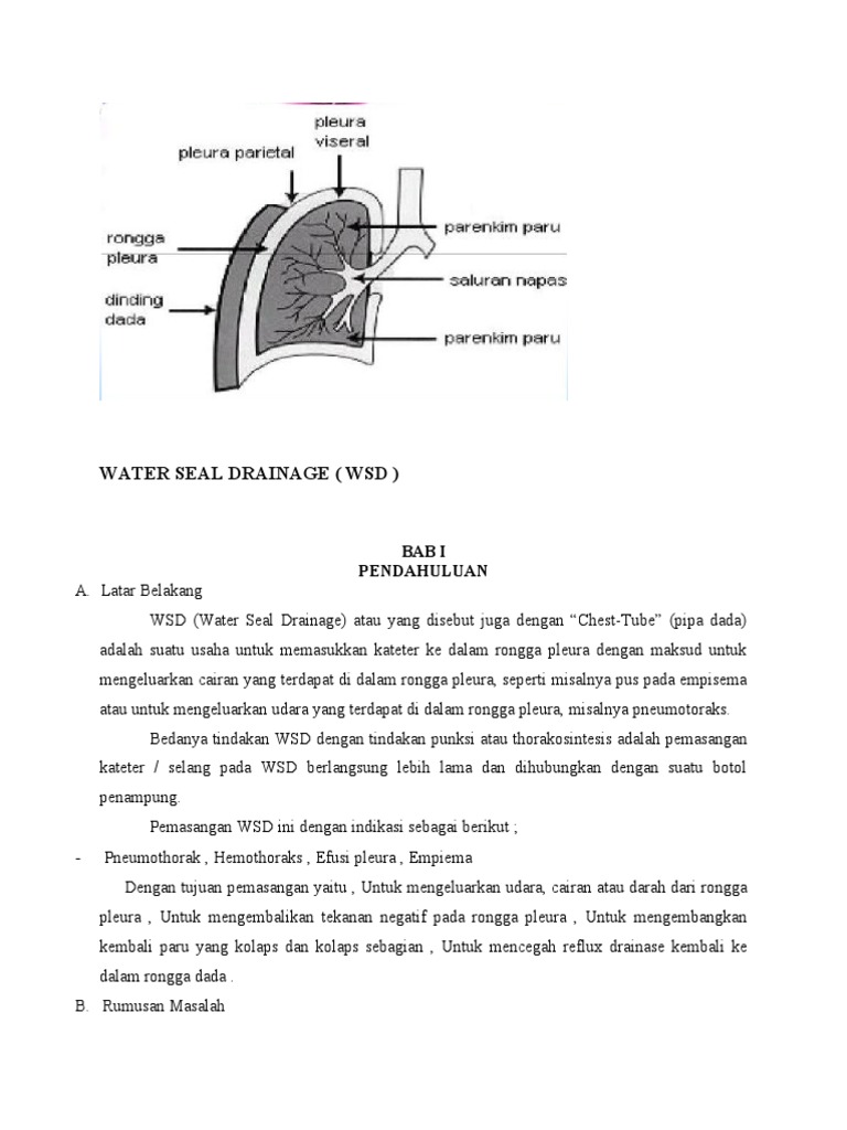 Water Seal Drainage PDF
