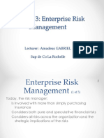 Chapter 3: Enterprise Risk Management: Lecturer: Amadeus GABRIEL Sup de Co La Rochelle