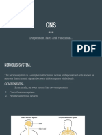 Disposition, Parts and Functions