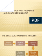 Market Opportunity Analysis and Consumer Analysis