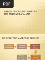 Market Opportunity Analysis and Consumer Analysis