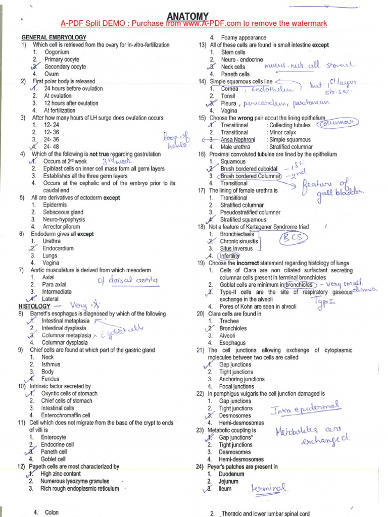 MCI Screening Test Anatomy PDF