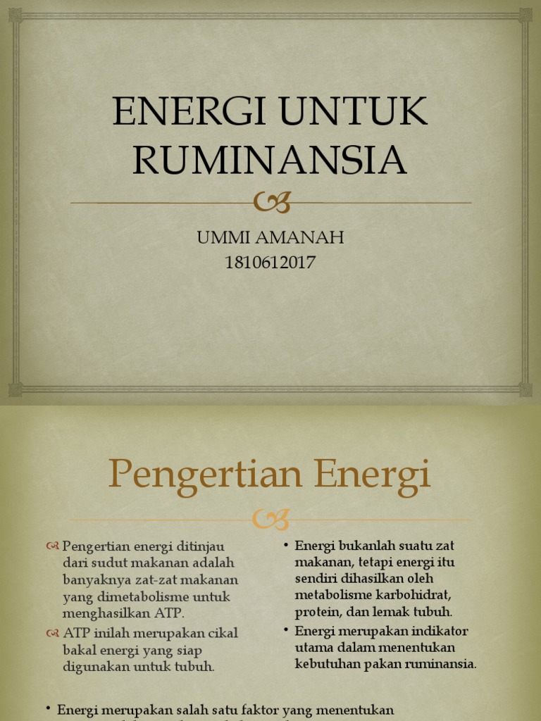 Sumber Energi pada Ternak Ruminansia | PDF
