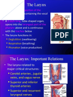 The Larynx: Portion of The Respiratory Tract 2-Inch-Long Laryngeal Part of The Pharynx Trachea