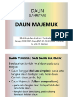 DAUN (Lanjutan) - Genap 2020-2021