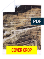 COVER CROP Dan LAND CLEARING SAWIT