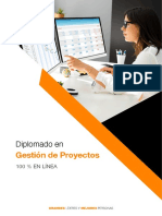 Anahuac D Gestion Proyectos