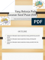 Obat yang bekerja pada susunan saraf kelompok 2