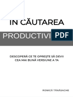 In Cautarea Productivitatii Romica Tanasache