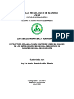 Estructura Organizacional e Informe Sobre El Analisis de Los Estado Financieros