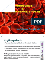 Eritropoesis dan Kelainan Eritrosit