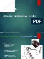 Mendelian Genetics Heredity