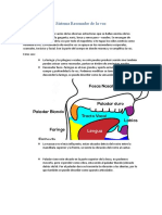 Sistema Resonador de La Voz