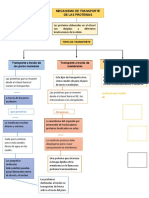 mapa conceptual de biologia - asig 6