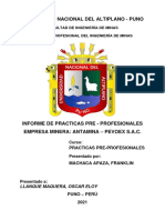 Informe de Practicas Preprofesionales - Antamina