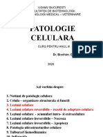 Patologie celulara - 3 - Leziuni celulare