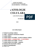 Patologie Celulara - 5 - Leziuni Celulare de Acumulare