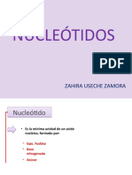 NUCLEÓTIDOS