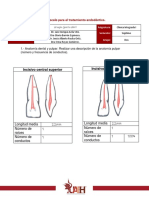 Protocolo para El Tratamiento Endodóntico