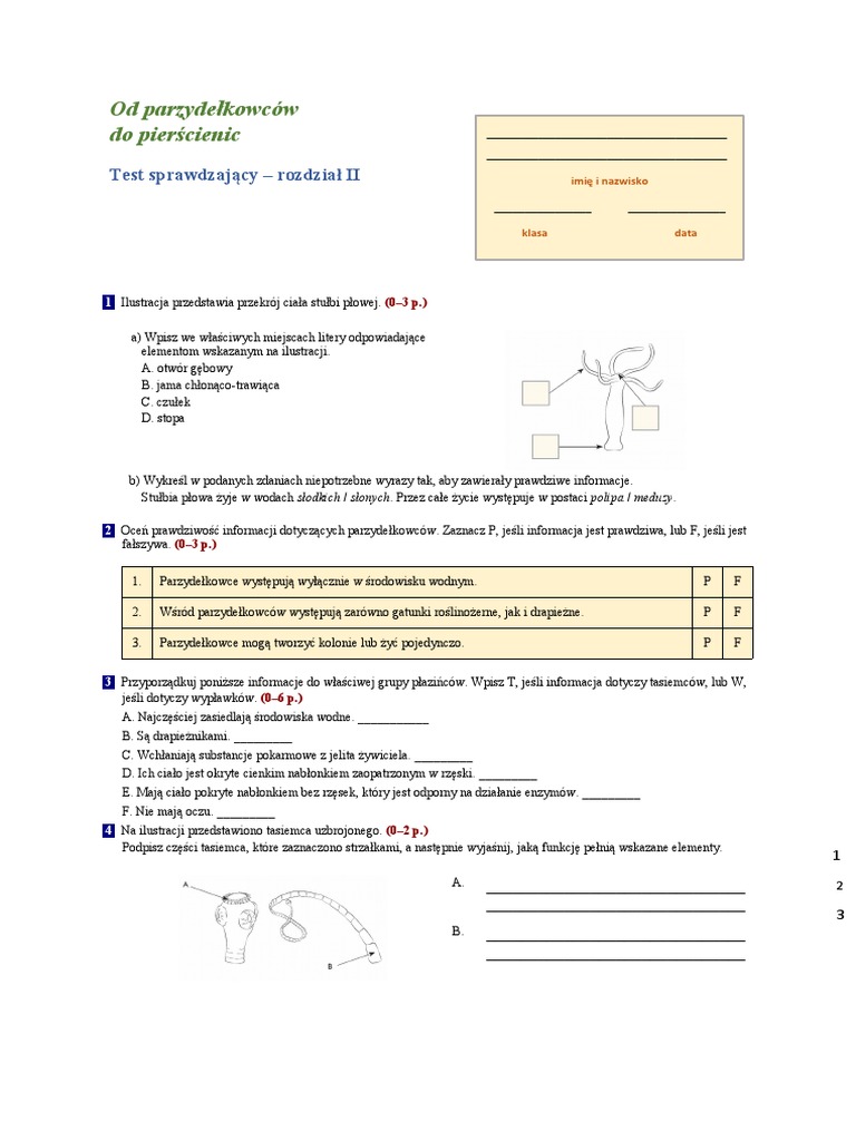 Sprawdzian Biologia Klasa 6 Od Parzydełkowców Do Pierścienic Od Parzydełkowców | PDF