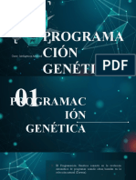 Explicacion de Programacion Genetica