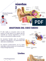 Procedimientos en Oído 2