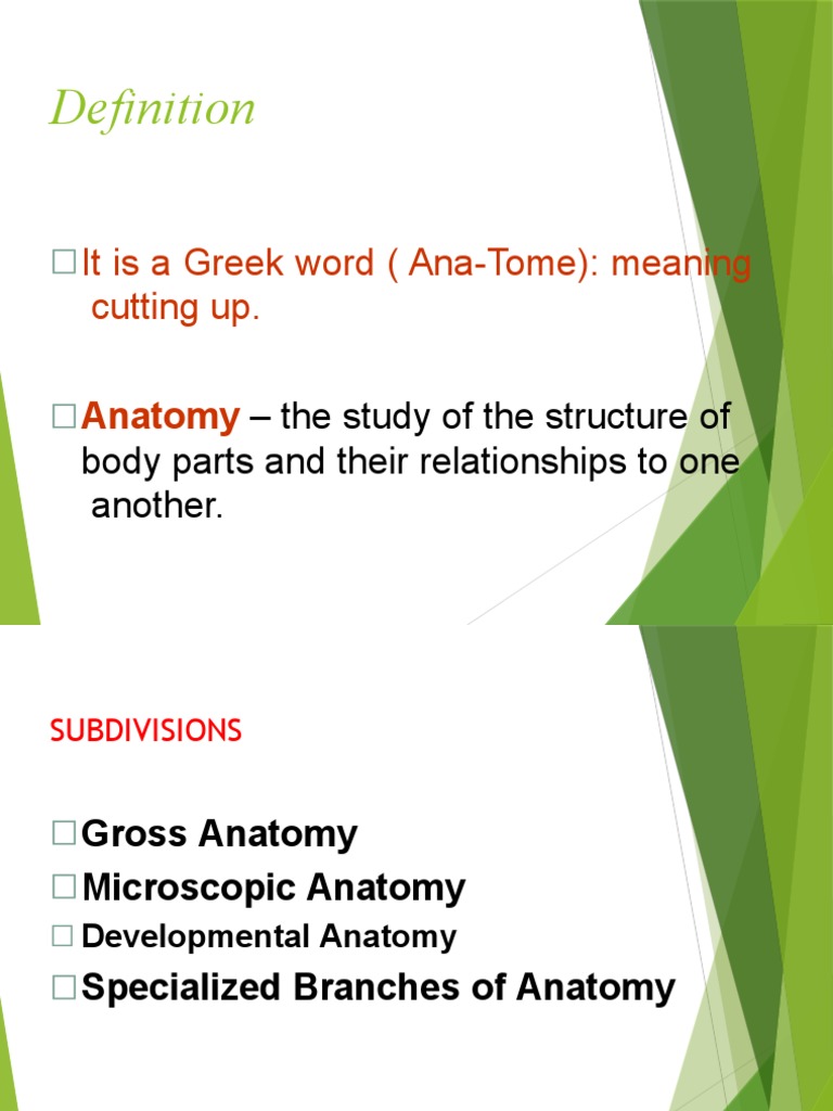 An InDepth Exploration of Anatomical Structures, Terminology, and