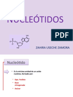 NUCLEÓTIDOS